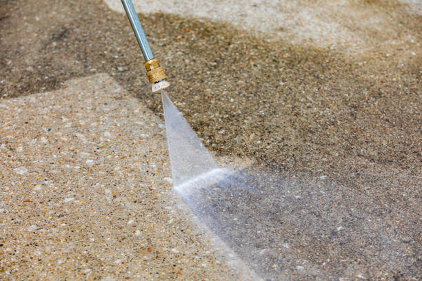 Best Animal Enclosure Cleaning  in Rapid Valley, SD